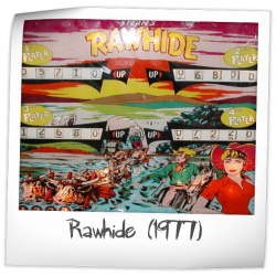 rawhide pinball machine