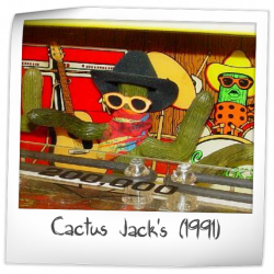 Cactus Jack's playfield image 10