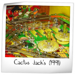 Cactus Jack's playfield image 11